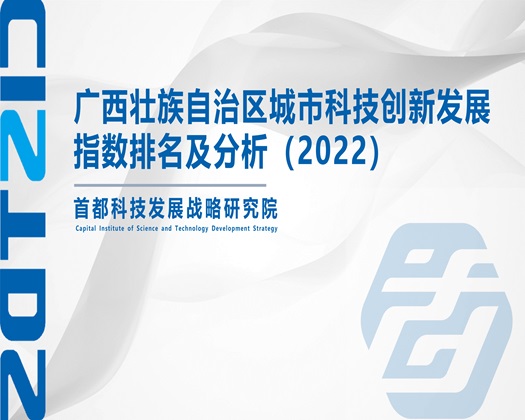 男人插女人下面黄色网站【成果发布】广西壮族自治区城市科技创新发展指数排名及分析（2022）